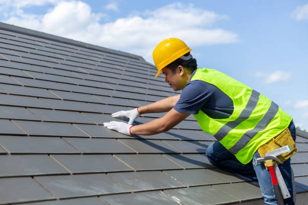 Best Metal Roofing Contractor  in Frazee, MN