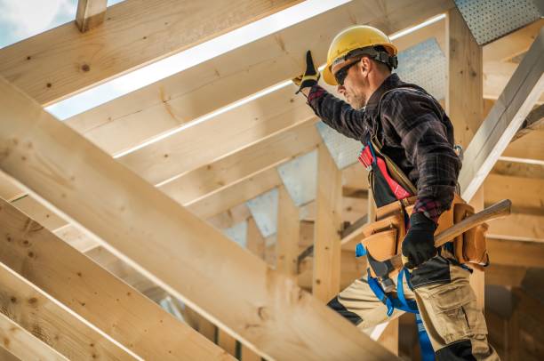 Best Local Roofing Companies  in Frazee, MN