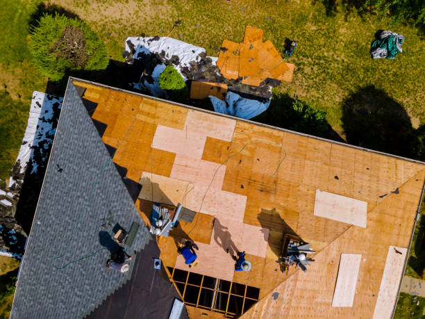 Trusted Frazee, MN Roofing Contractor Experts