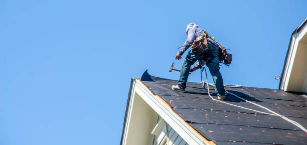 Best New Roof Installation  in Frazee, MN